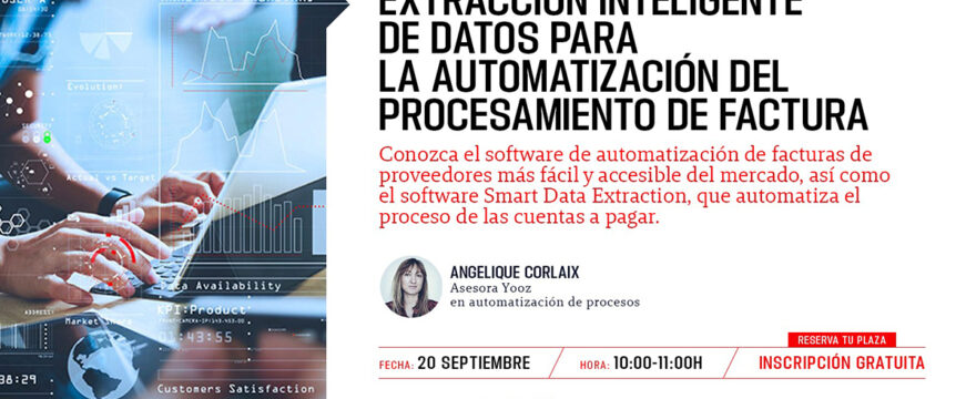 Extracción Inteligente de Datos para la automatización del procesamiento de facturas web